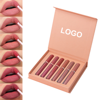 Ensemble de rouge à lèvres liquide mat pour filles et femmes Kit de brillant à lèvres imperméable et multi-couleurs Rouge à lèvres hydratant longue durée