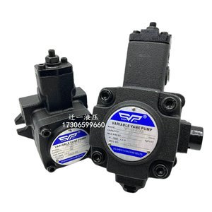 Pompe à aubes variables Shenyu VP-20-F/A3, pompe à huile hydraulique pour machines industrielles - Product Image 3