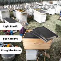 Neue chinesische Imkerei-Ausrüstung: Bienenwabenrahmen aus HIPS-Kunststoff für Apis Mellifera – Honigbienen-Imkereibedarf