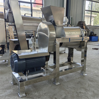 Industriële fruit- en groenteschroefpers met motor voor fruitverwerkingsbedrijven, hoge productiviteit