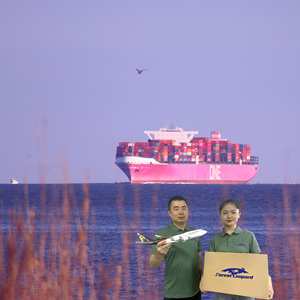 Самый опытный сервис от двери до двери <span class=keywords><strong>DDP</strong></span>/<span class=keywords><strong>DDU</strong></span>, экспедитор, Китай, наличные деньги, доставка в ЕС - Product Image 3