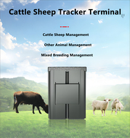 Traceur GPS 4G CAT1 2G étanche pour bétail, collier GPS avec puce mémoire pour animaux de ferme, bovins, moutons, modèle C035