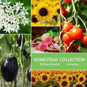 Paquete de Semillas de Jardín para Supervivencia, Colección Homesteader - 50 Paquetes de Kits de Plantas No Transgénicas de Variedad Antigua - Product Image 2