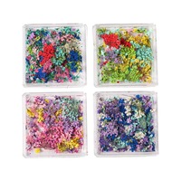 Fleurs séchées naturelles multicolores pour la décoration des ongles, DIY, manucure, mini boîte carrée, fleurs réelles, accessoires pour ongles