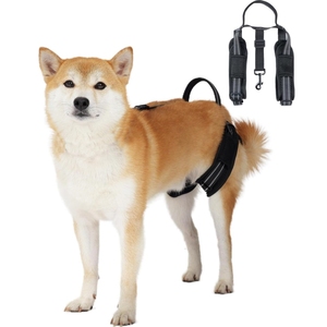 Large Dogs Lift Anti Slip Sling <span class=keywords><strong>Rear</strong></span> Hind Legs <span class=keywords><strong>Harness</strong></span> para Idosos Deficiências e Lesões Pets - Product Image 6