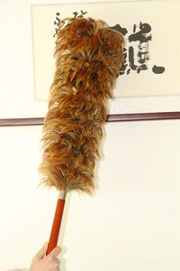 Plumero de Plumas de Pollo Chino a <span class=keywords><strong>Precio</strong></span> de Fábrica para Venta Económica - Product Image 5