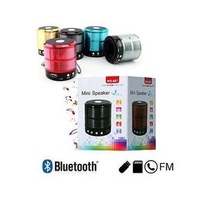 Mini Altavoz WS 887 con Bluetooth, Radio FM, Sonido Estéreo Inalámbrico Portátil para Teléfono y Tableta - Product Image 1