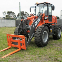 Everun ER28 Pala Gommata Compatta Articolata Mini da 2,8 Tonnellate con Scarico Frontale Idraulico Diesel per Agricoltura