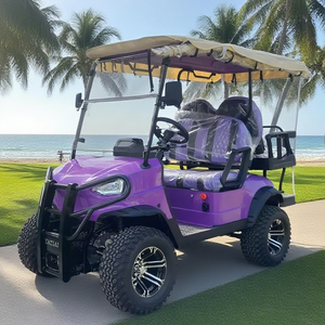 Côte à côte <span class=keywords><strong>4x4</strong></span> voiture électrique tout-terrain Buggy voiturette de golf - Product Image 1
