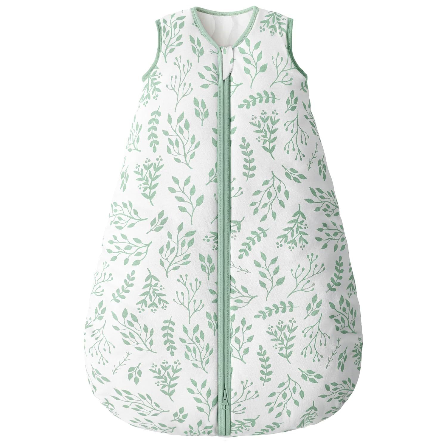 Foglie verdi-ispessite