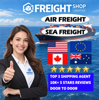 Agent de fret américain, groupage LCL, entreposage, courtage douanier, livraison à domicile DDP, service d'import-export, fret en gros