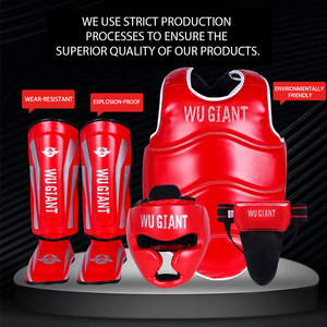 カスタマイズ可能なロゴカラーボクシングプロテクター子供戦闘ボクシングフルボディプロテクター - Product Image 3