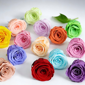 Roses Éternelles de Haute Qualité, 10 Pièces, 4 cm, Grade A, Fleurs Naturelles Réelles, Têtes de Roses pour Décoration de Mariage, Saint-Valentin - Product Image 5