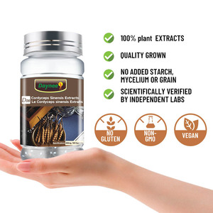 Capsules d'extrait de Cordyceps Sinensis pour soutenir la santé immunitaire et respiratoire, stimuler la vitalité, prendre soin de la prostate, complément alimentaire à base de plantes - Product Image 6