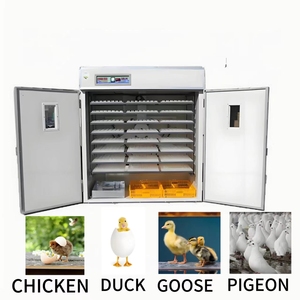 Farm Machinery Fertile Automatic Turning Hatcher Machine <b>Eggs</b> Chicken Hatching <b>Eggs</b> Chicken <b>Eggs</b> <b>Incubators</b> - Product Image 2