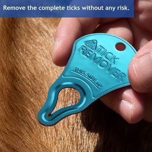 Outil métallique pour enlever les tiques pour chien, utilisation en extérieur, rouge, bleu clair, bleu foncé - Product Image 3