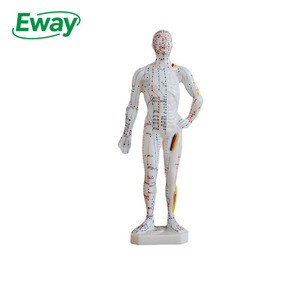 โมเดลฝึกหัดการฝังเข็มและนวดแผนจีน EwayHealth ขนาด 26 ซม. ทำจาก PVC รูปแบบร่างกายมนุษย์ - Product Image 1