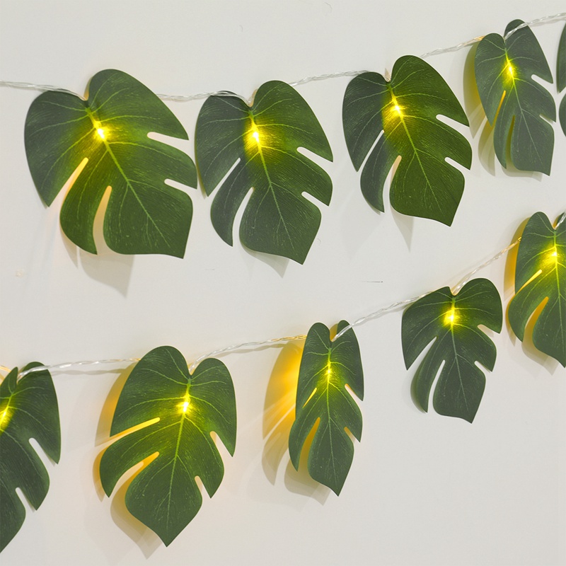 monstera riecht Große Monstera | Monstera deliciosa main image 1