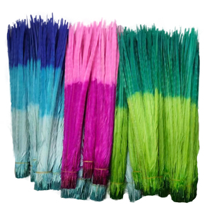 Chất tẩy trắng Và Nhuộm Ringneck Gà Lôi Đuôi Lông - Product Image 1