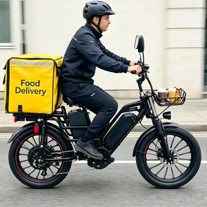 Vélo cargo électrique d'usine OEM 48V65AH à double batterie, longue autonomie, suspension intégrale, freins à disque hydrauliques, vélo électrique pour adultes, livraison - Product Image 1