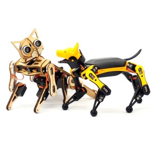 Programming smart robot dog