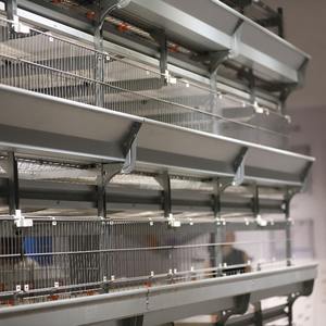 Poulailler d'occasion à long terme, cage à volailles économique pour pondeuses, équipement de ponte durable à bas prix - Product Image 1