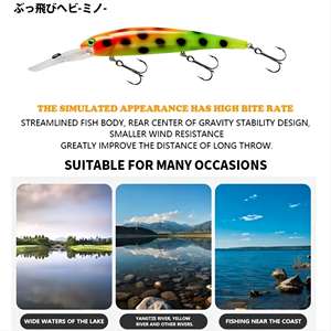 Esca Artificiale Top Right M062 20g 120mm Bandit Walleye Deep Diver <span class=keywords><strong>Minnow</strong></span> Galleggiante Jerkbait <span class=keywords><strong>per</strong></span> Pesca a <span class=keywords><strong>Spigola</strong></span> e Luccio - Product Image 5