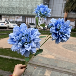 Flor de Dalia de seda al por mayor, 3 cabezas, púrpura, blanco, para Arreglo Floral DIY, tallo de Dalia Artificial de 90cm para decoración de eventos en <span class=keywords><strong>casa</strong></span> - Product Image 6