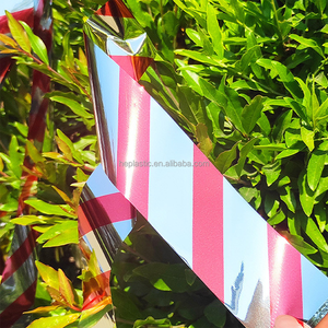 Nastro di allarme riflettente <span class=keywords><strong>per</strong></span> uccelli deterrente nastro repellente <span class=keywords><strong>per</strong></span> uccelli <span class=keywords><strong>per</strong></span> forniture frutteto argento rosso argento verde - Product Image 5