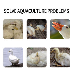 アヒルとガチョウの家禽飼料添加物の感染性血清炎のために特別な水鳥に使用されるクイック効果 - Product Image 2