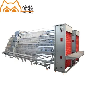 Hot Dip Galvanize Steel Big A Type Poultry Farm Equipment Battery Layer Automatic Chicken Cage With Egg Laying System