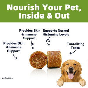 Friandises Bio Hypoallergéniques à Mâcher pour Chiens – Naturelles et en Stock – Complément Alimentaire pour Chiens – Friandises à Mâcher pour Soulager les Allergies – Soutien Immunitaire - Product Image 6
