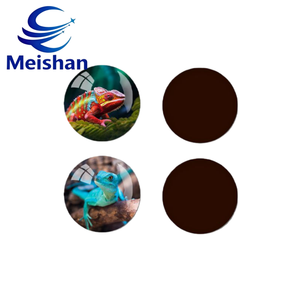 Aimants <span class=keywords><strong>de</strong></span> réfrigérateur <span class=keywords><strong>en</strong></span> verre personnalisés <span class=keywords><strong>en</strong></span> gros Meishan : Aimants <span class=keywords><strong>de</strong></span> réfrigérateur ronds <span class=keywords><strong>de</strong></span> <span class=keywords><strong>dessin</strong></span> animé d'animaux européens et américains, caméléon - Product Image 5