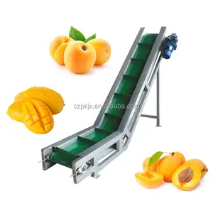 Small Tomato Paste Processing Line fruit and vegetable Puree Jam Production Plant