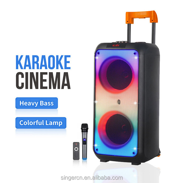 NDR-1095 Large Power 8 Inch Full Range Loud Powered Wireless Stereo Speaker Outdoor Party Portable Trolley Speaker
