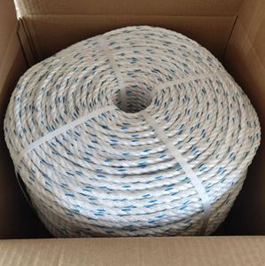 Corde en PP Danline 8 mm * 500 m, Corde torsadée en PP à 3 brins, Corde en PP - Product Image 1
