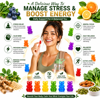 Compléments et vitamines en gommes 15-en-1 sans sucre pour le cortisol, l'ashwagandha, le magnésium, le folate et la vitamine B12, pour le soulagement du stress et le soutien énergétique