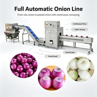 Productielijn voor het snijden en drogen van uien, uien snij- en snijmachine, uienverwerkingslijn