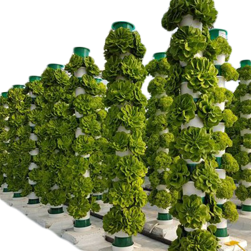 ONE ONE Vertical Hydroponics Farm Irrigation