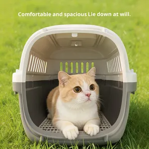 Vente en gros de boîtes de transport pour animaux de compagnie en acier inoxydable PP 51*35*31cm - 4 côtés ventilés, poignée portable, conforme à la norme <span class=keywords><strong>IATA</strong></span>, motif de dessin animé - Product Image 2