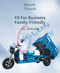 Bon marché Minglun nouveau chariot mobile de chariot motorisé de tricycle électrique de camion à benne basculante pour l'usine de fabrication agricole - Product Image 4