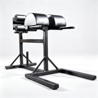 Machine GHD (Glute Ham Developer) pour l'entraînement des fessiers et des ischio-jambiers, extensions dorsales, équipement de fitness pour la musculation des ischio-jambiers, pour salle de sport et studio