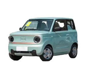 Hot Sale Cheap Price Cute Shape Auto Geely Panda Mini Best Small Car 2023 4 Seats New Electric Mini Car Adult Ev Made In China