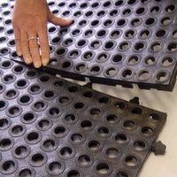 Tapis modulaires en caoutchouc pour extérieur, 36x36 pouces, avec drainage par trous
