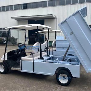 Nouvelle Voiture de Golf Électrique d'Urgence Personnalisée 2 Places 2025 avec Brancard pour Ambulance - Product Image 6
