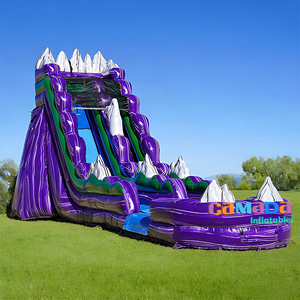 Toboggan aquatique gonflable personnalisé violet pour enfants et adultes, avec piscine, idéal pour les fêtes et la <span class=keywords><strong>location</strong></span> - Product Image 2
