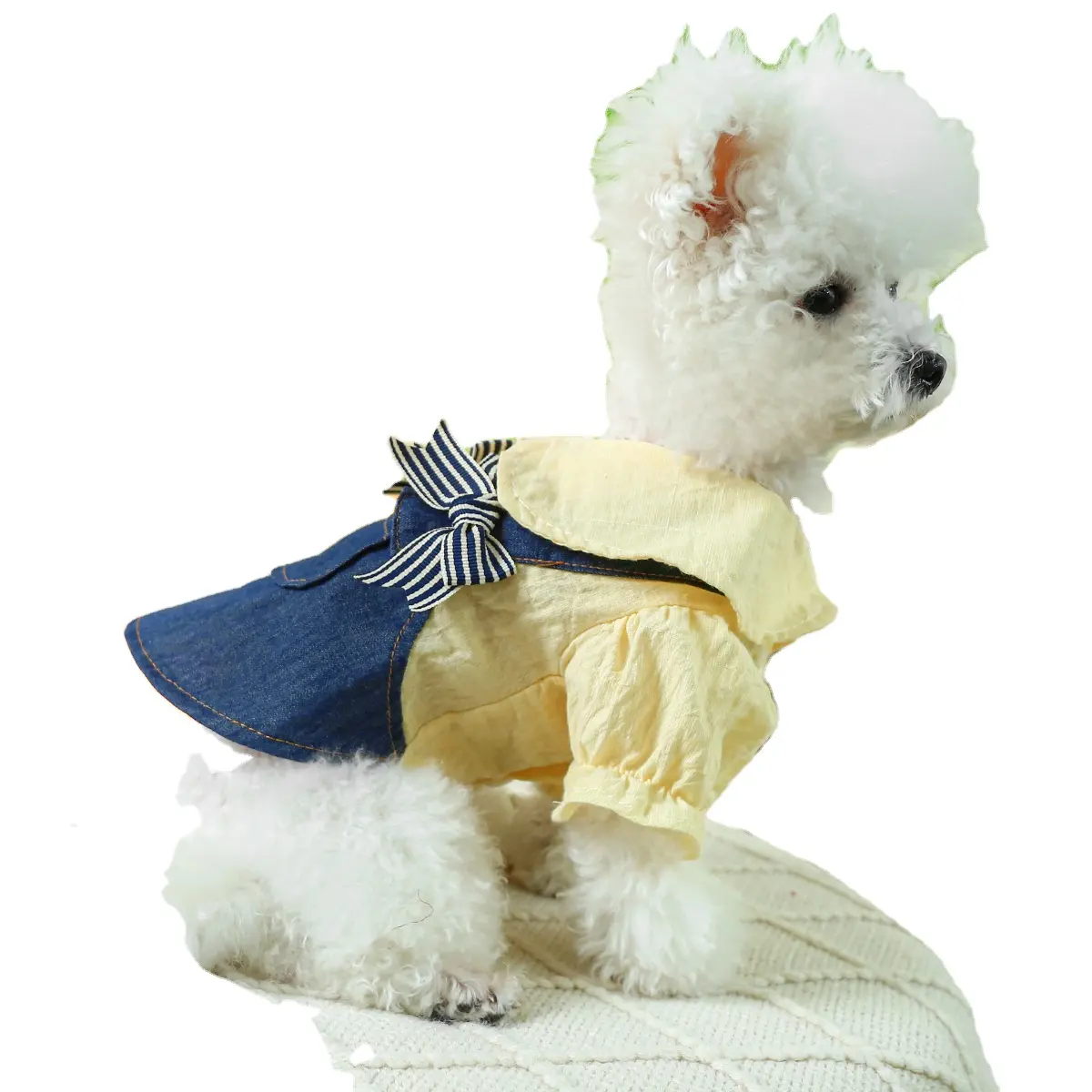 JXANRY Roupas para cães atacado primavera e verão novos produtos pequenos e médios arco de cachorro saia com alça azul e branca