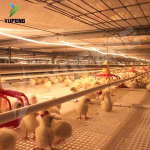 New h loại tự động Q235 thép Pin pullet Lồng cho Ngày Cũ Chick brooding 90-200 Công suất - Product Image 1