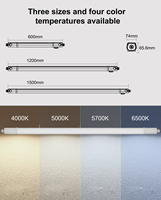 Luminaria Lineal LED Tri-Proof IP65 P66 Resistente al Vapor, 10W 20W 30W 40W, para Almacenes