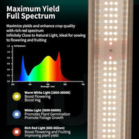 Sanyiba Lm2835 Lm301h Evo Espectro Completo 600w 720w 850w 1000w Nueva Lámpara LED de Espectro Completo para Cultivo de Plantas de Interior
